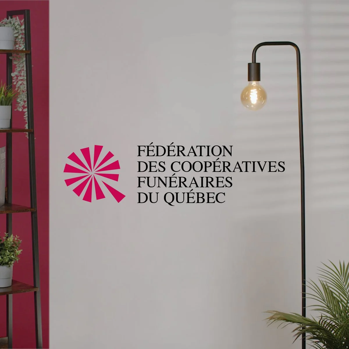 Logo et nom de la Fédération des Coopératives Funéraires du Québec sur un mur blanc avec une lampe suspendue et des plantes décoratives. C'est le décor d'une vidéo de formation en plateau de tournage.