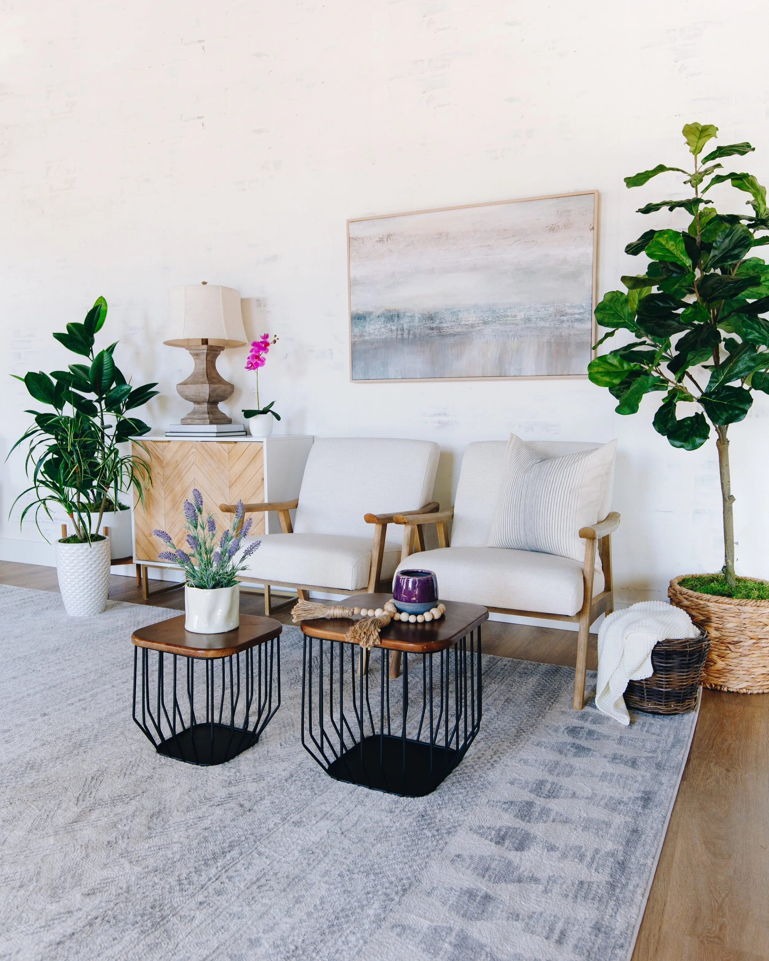 Brighten Your Home with these 5 Houseplants