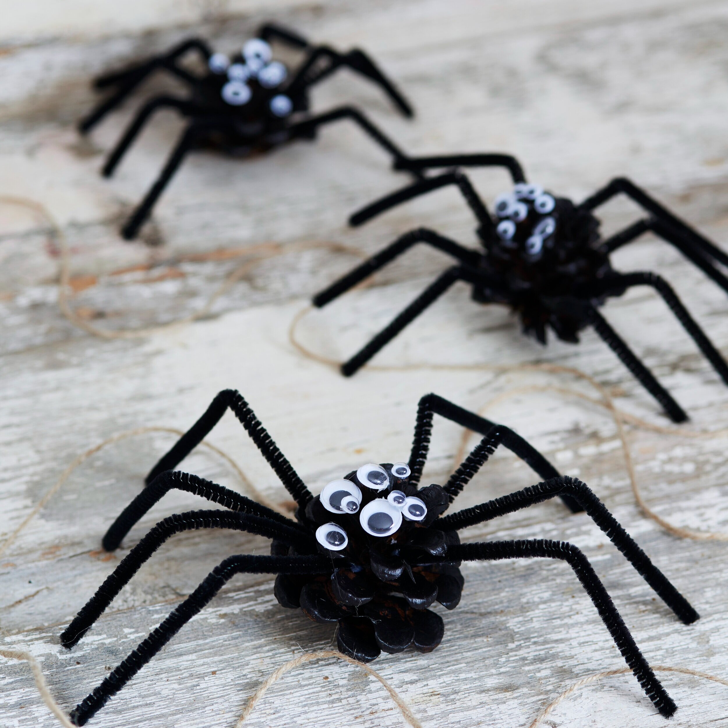 How to Make Pine Cone Spiders