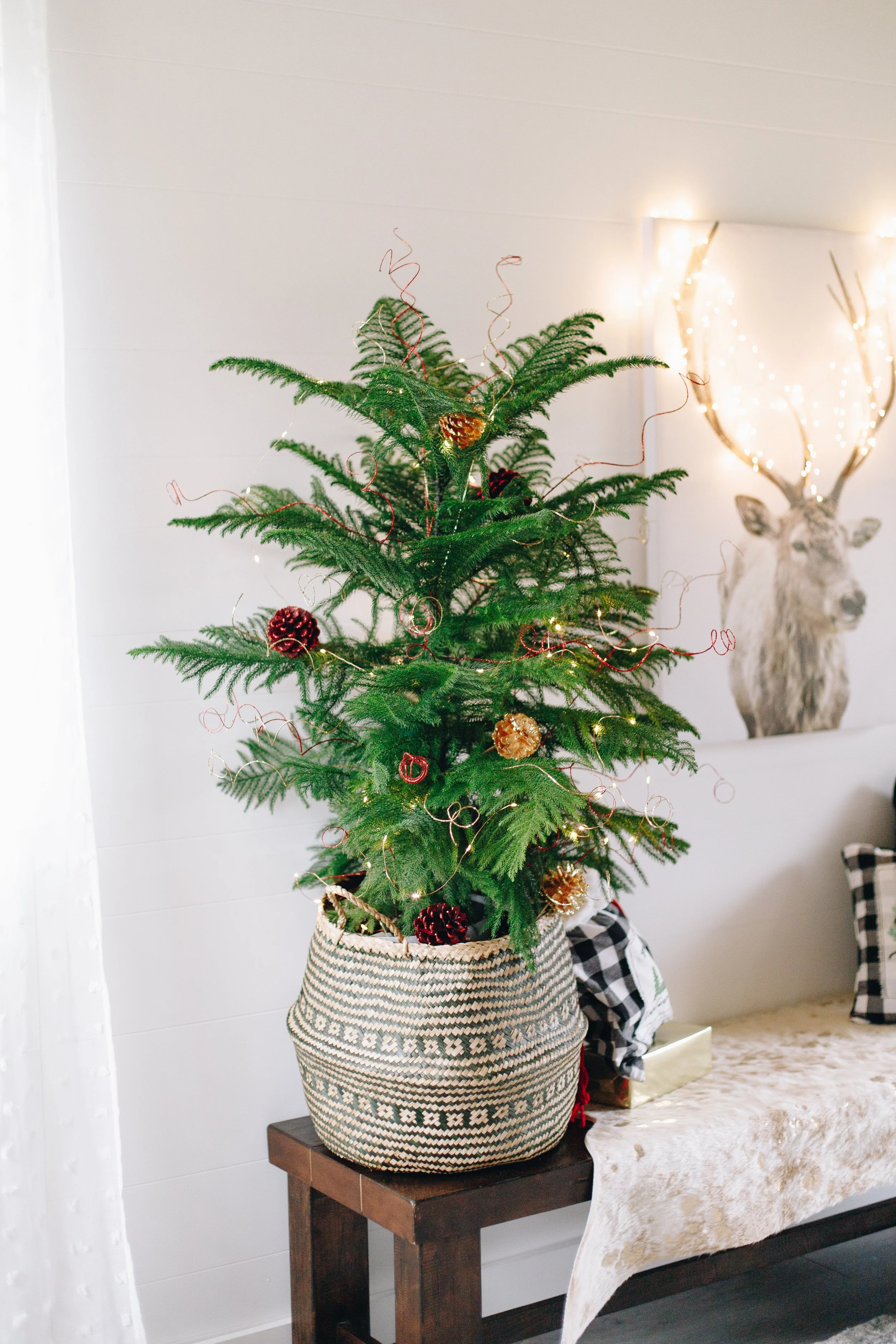 5 Reasons to Use a Christmas Tree Alternative this Holiday Season