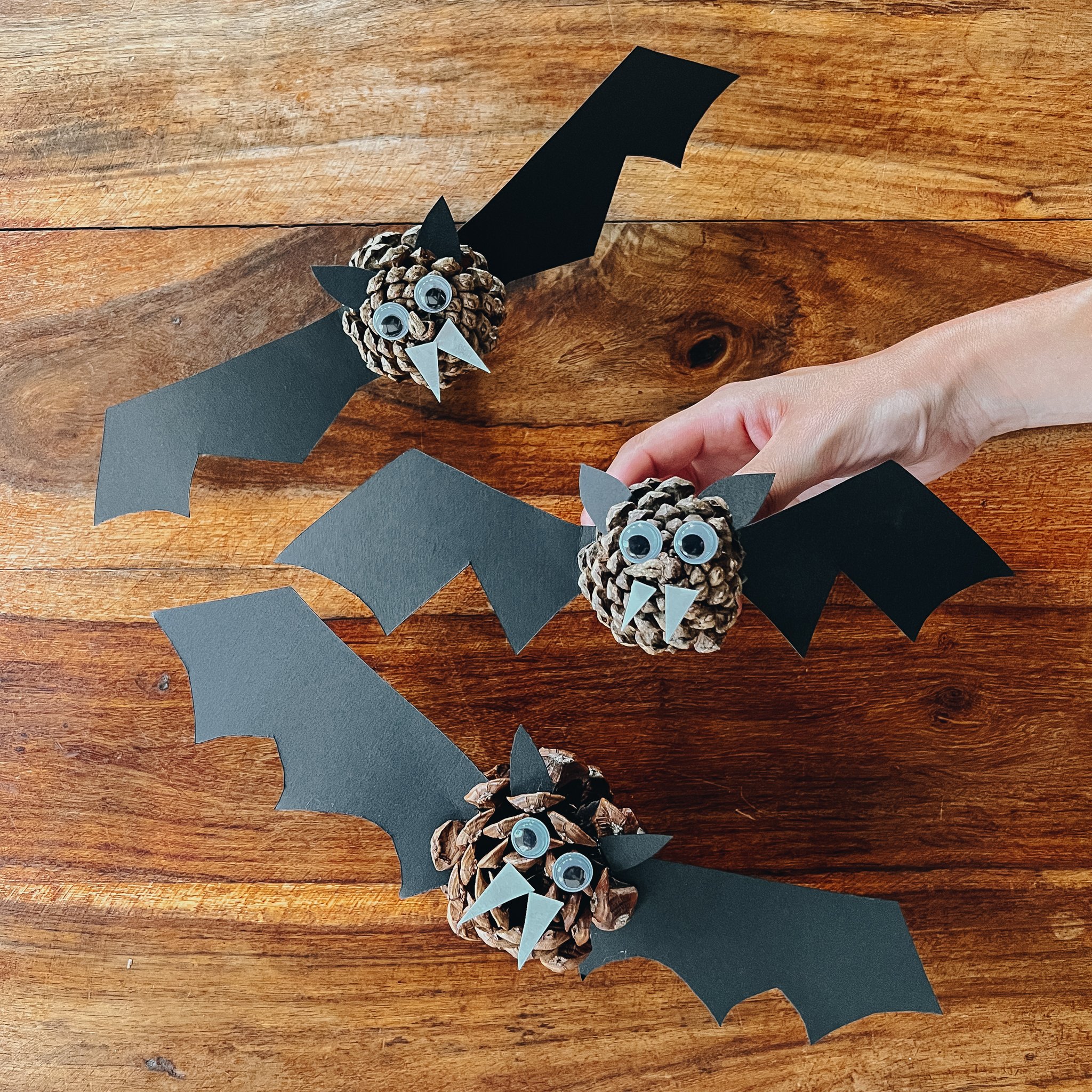 Adorable Pinecone Bat Craft Your Kids Will Enjoy Creating This