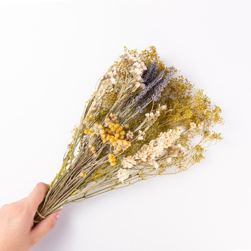 Bindle & Brass 23 in. Green Dried Natural Baby's Breath Spring (3-pack)
