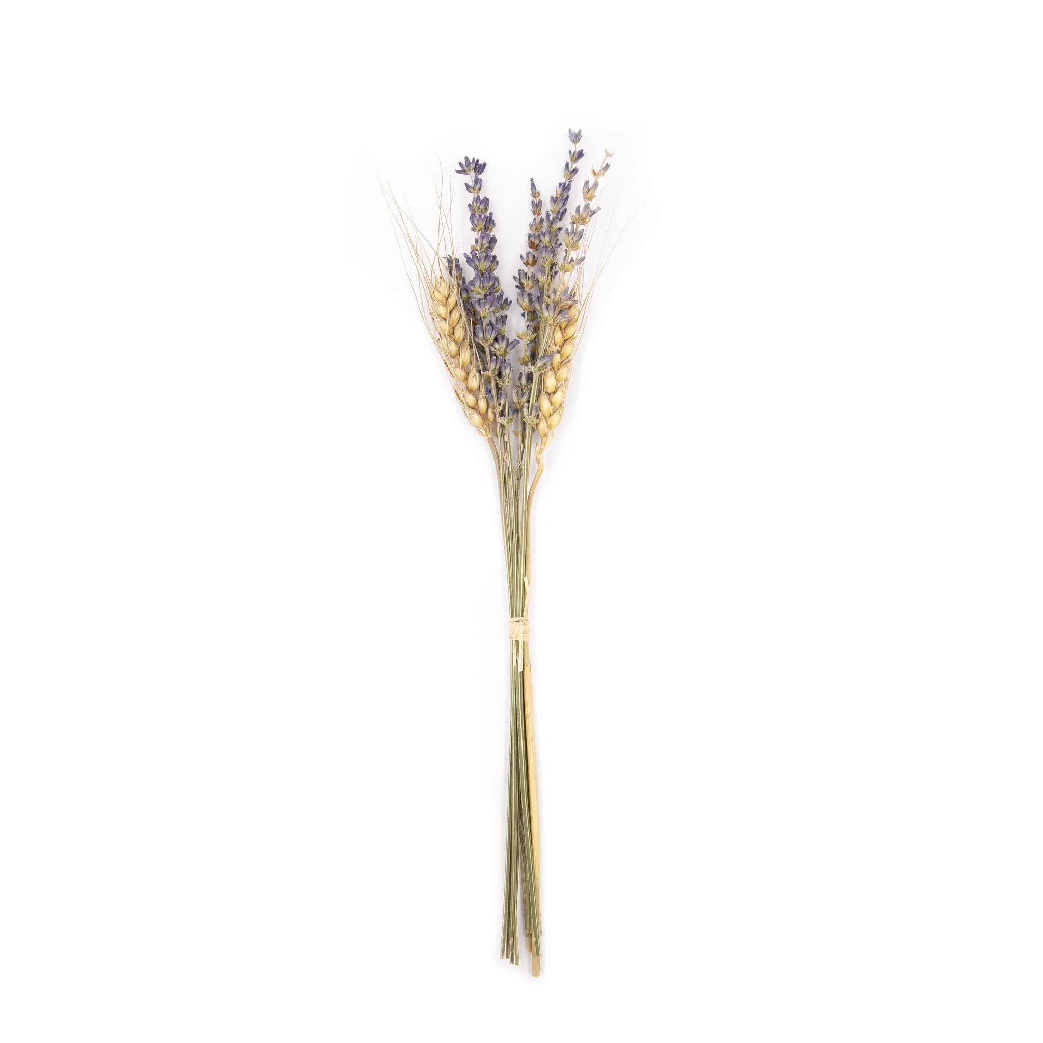 dried purple lavender gold wheat boutonniere