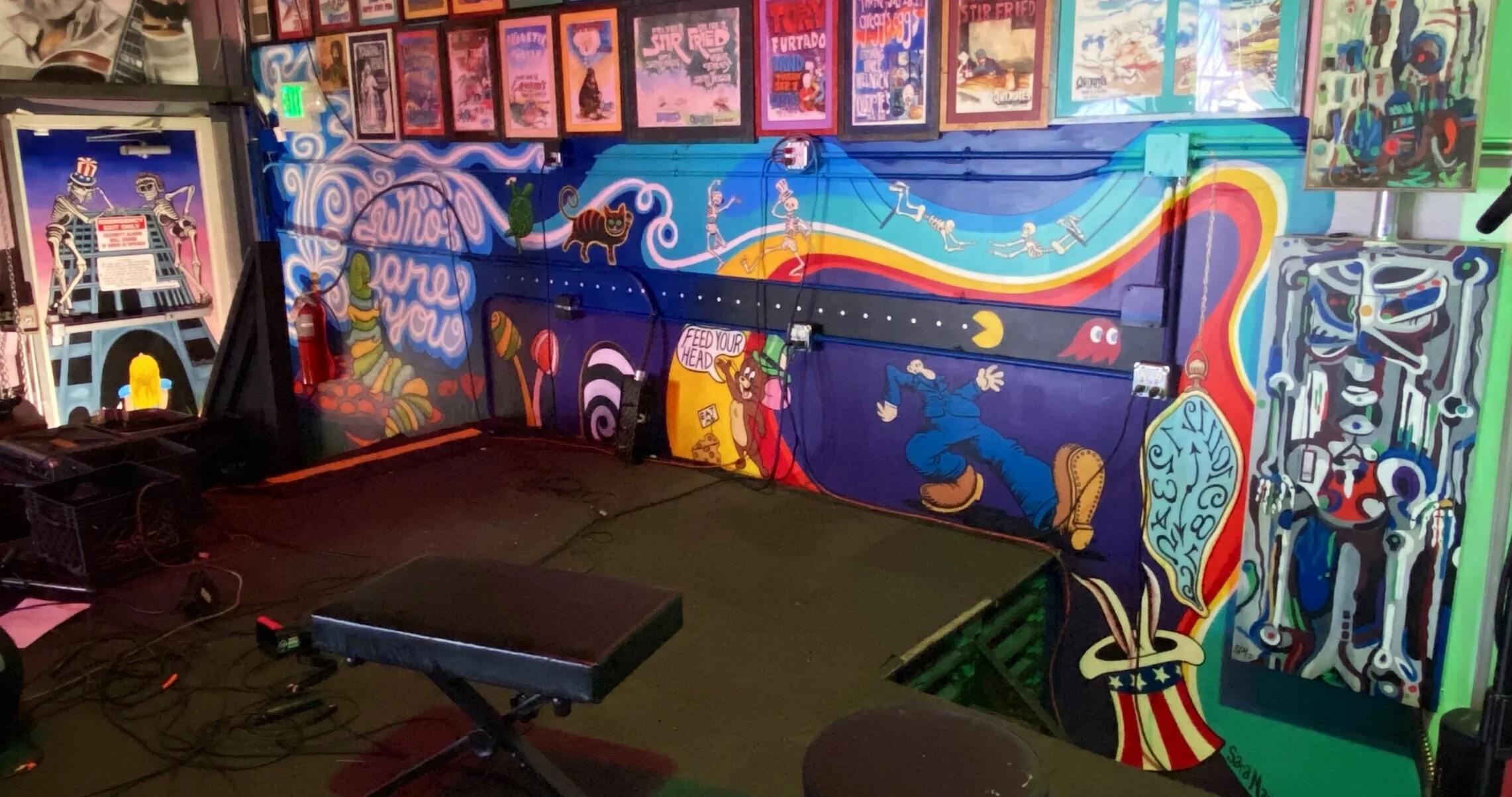 'Feed Your Head' Stage Wall & Door mural, 6' x 30', music venue, Denver CO, 2021