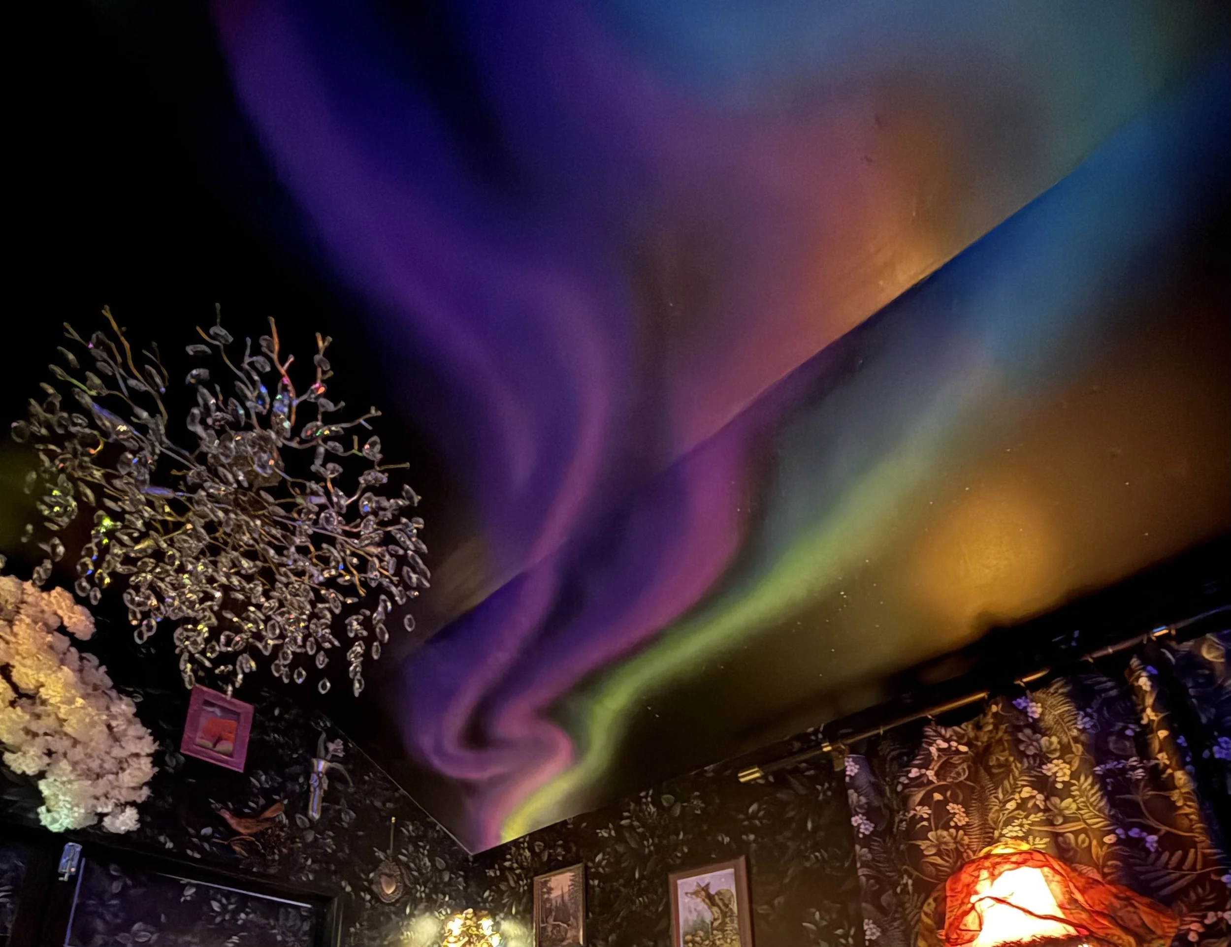 Northern Lights ceiling in "speakeasy" shed, private residence, Lakewood, CO, 2026