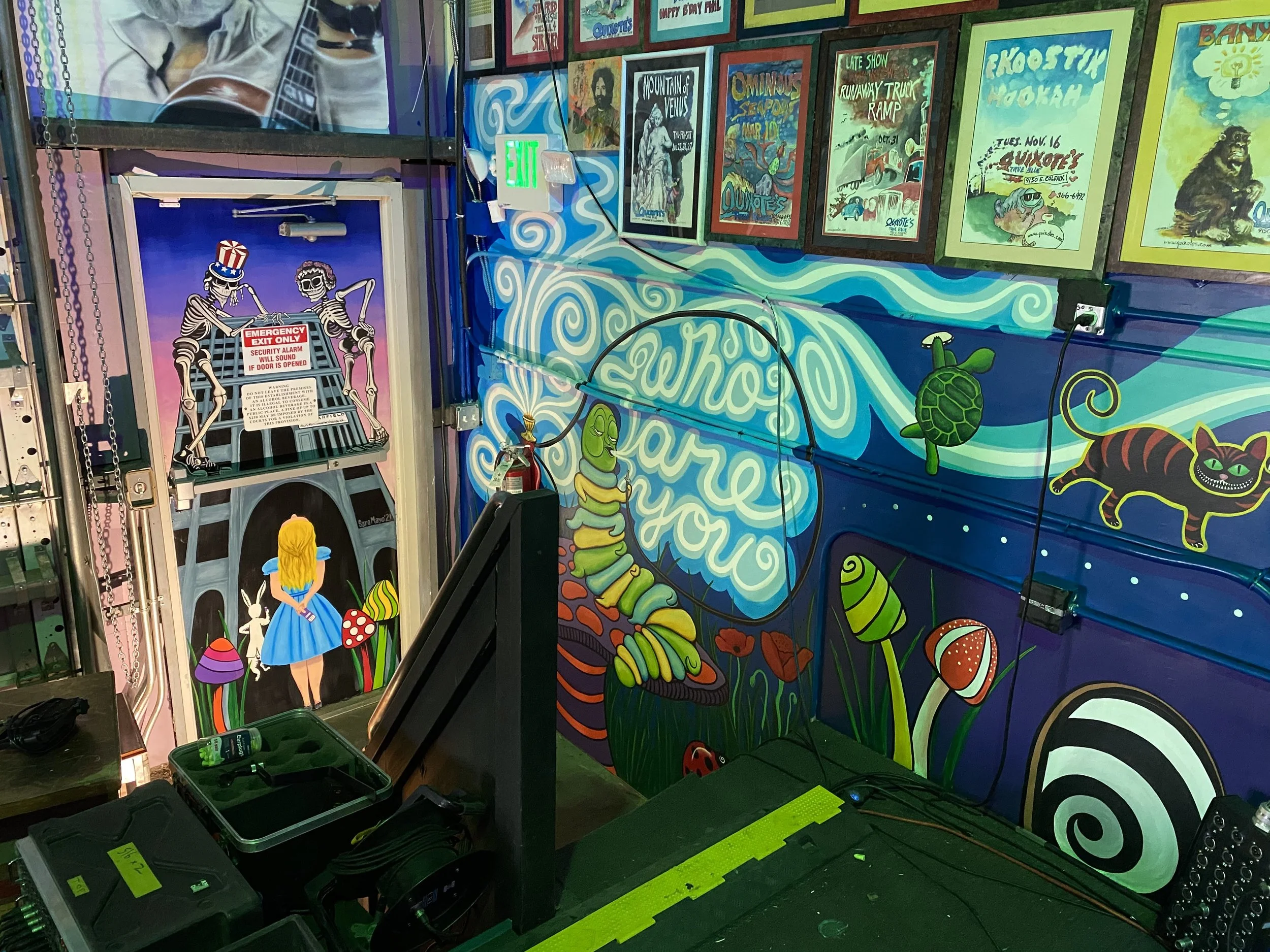 'Feed Your Head' Stage Wall & Door mural, 6' x 30', music venue, Denver CO, 2021