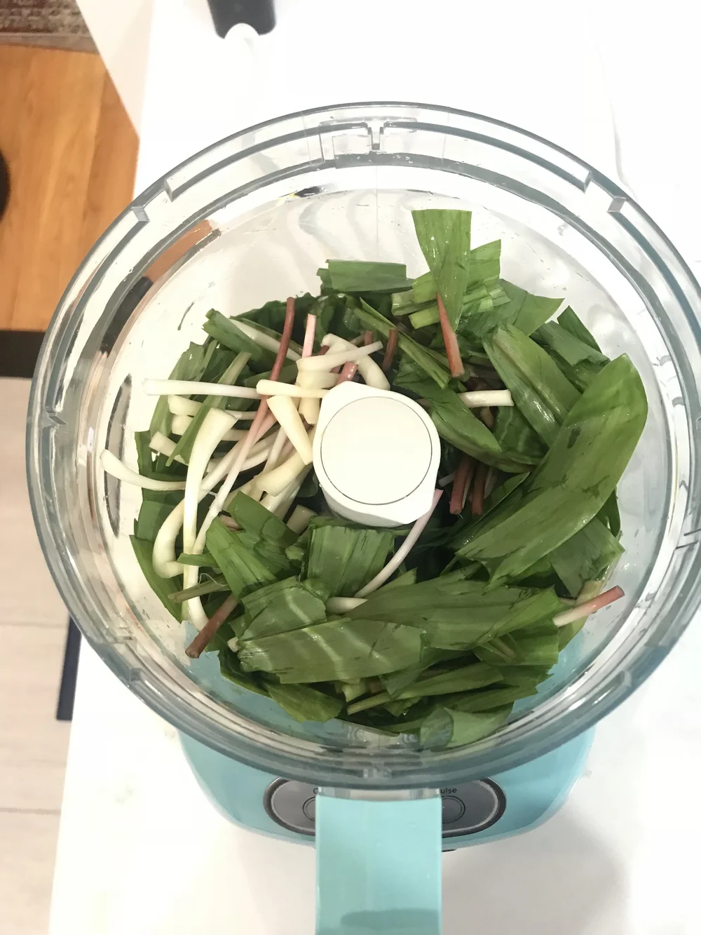 Wild Ramp Pesto Wild Ramp Pesto — Nicola Makes