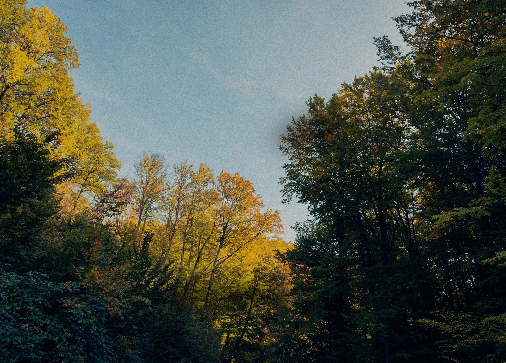 Background 3.jpg