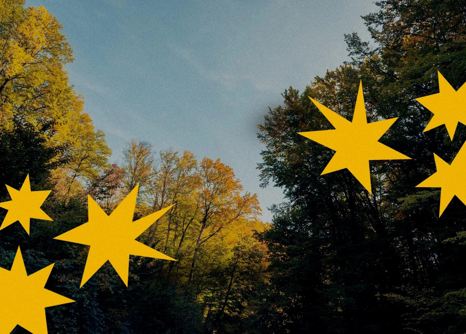 Background 2.jpg
