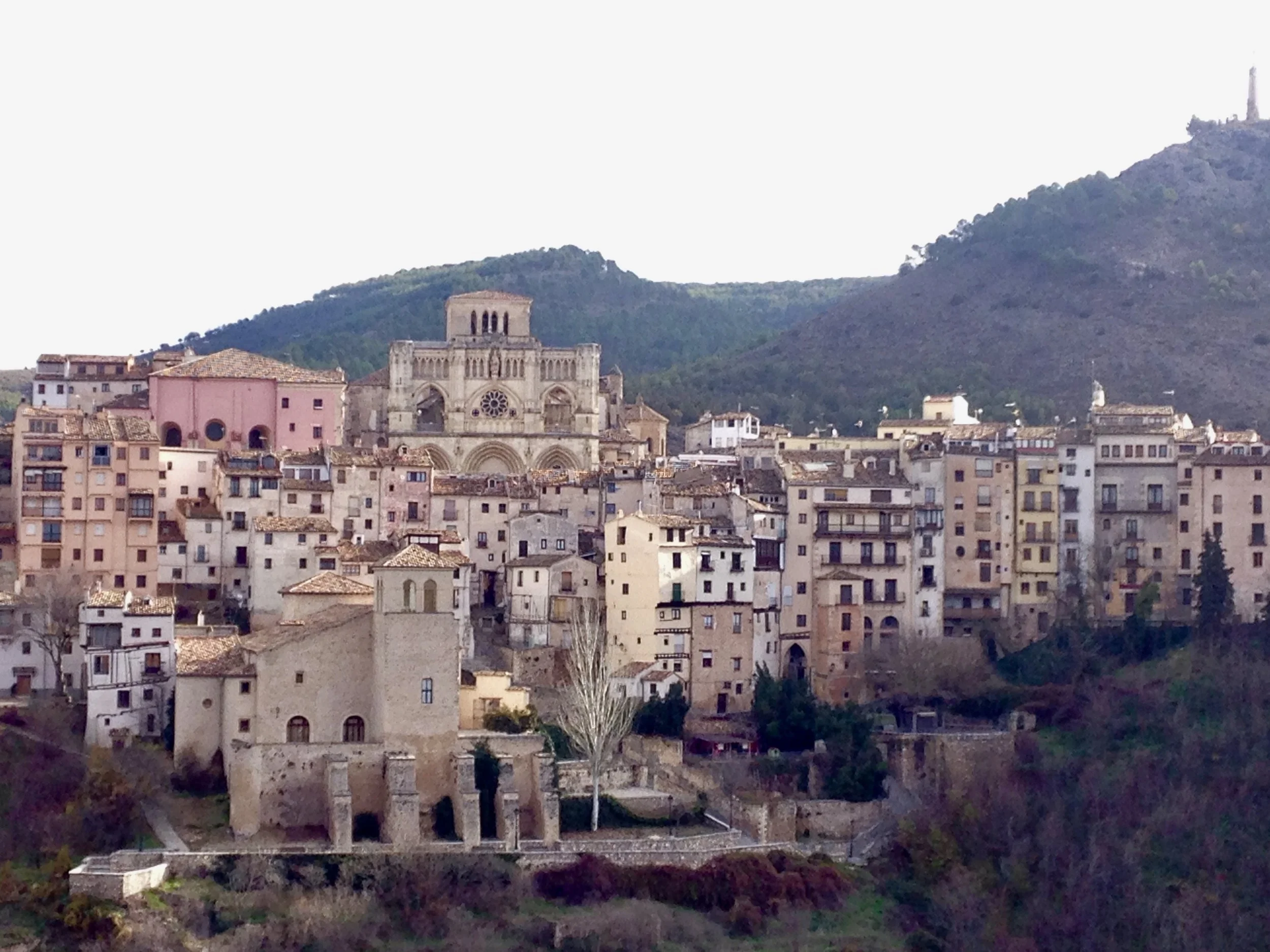 So Many Words for Beauty