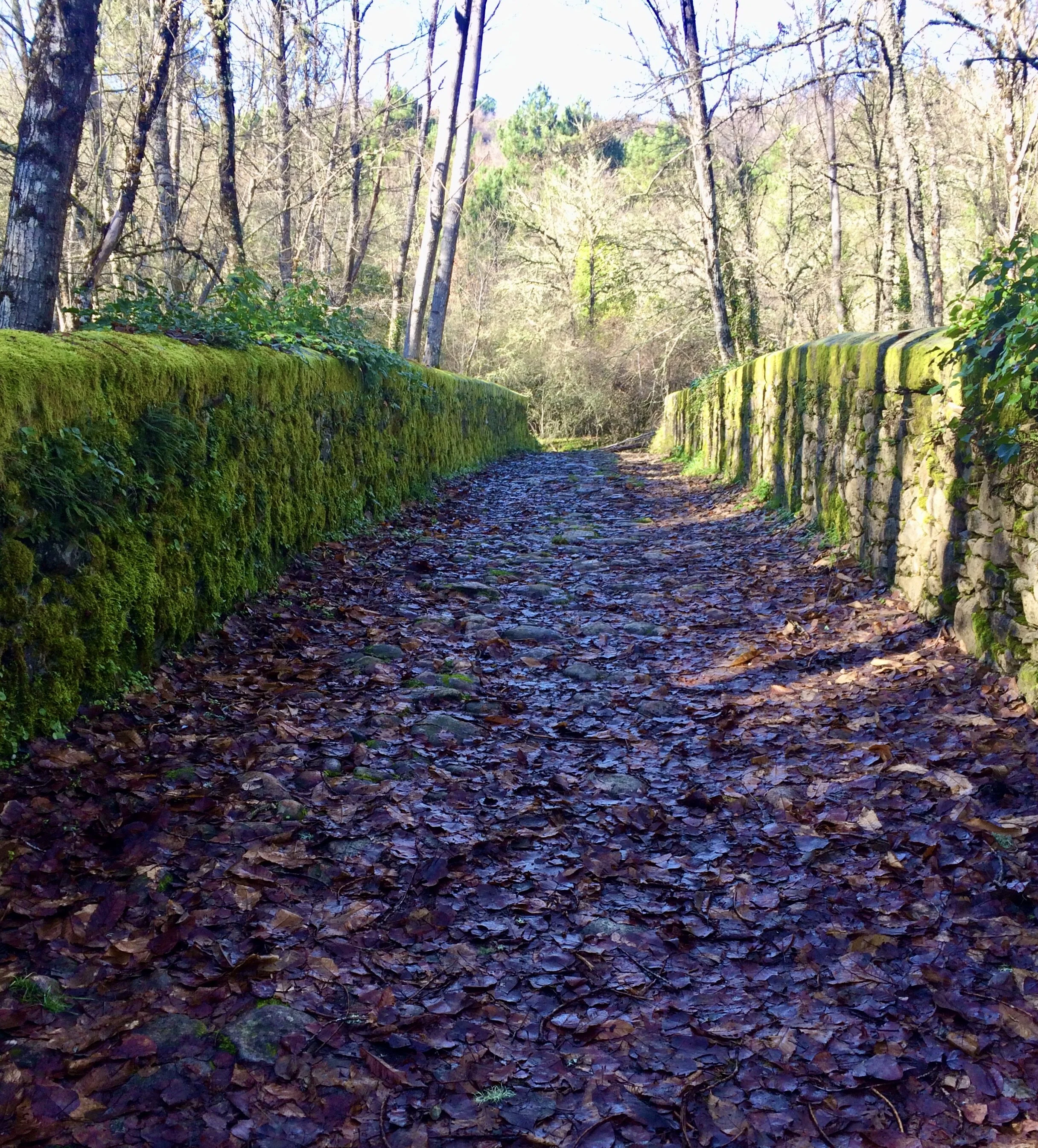 What's Better Than New Year’s Resolutions?