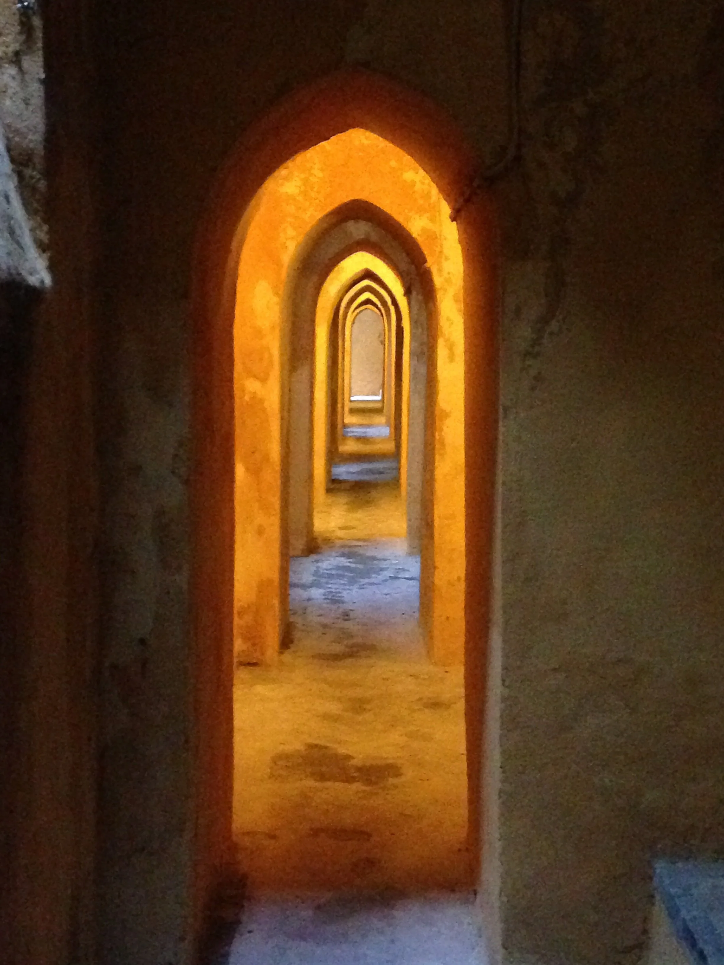 Doorways of Possibility