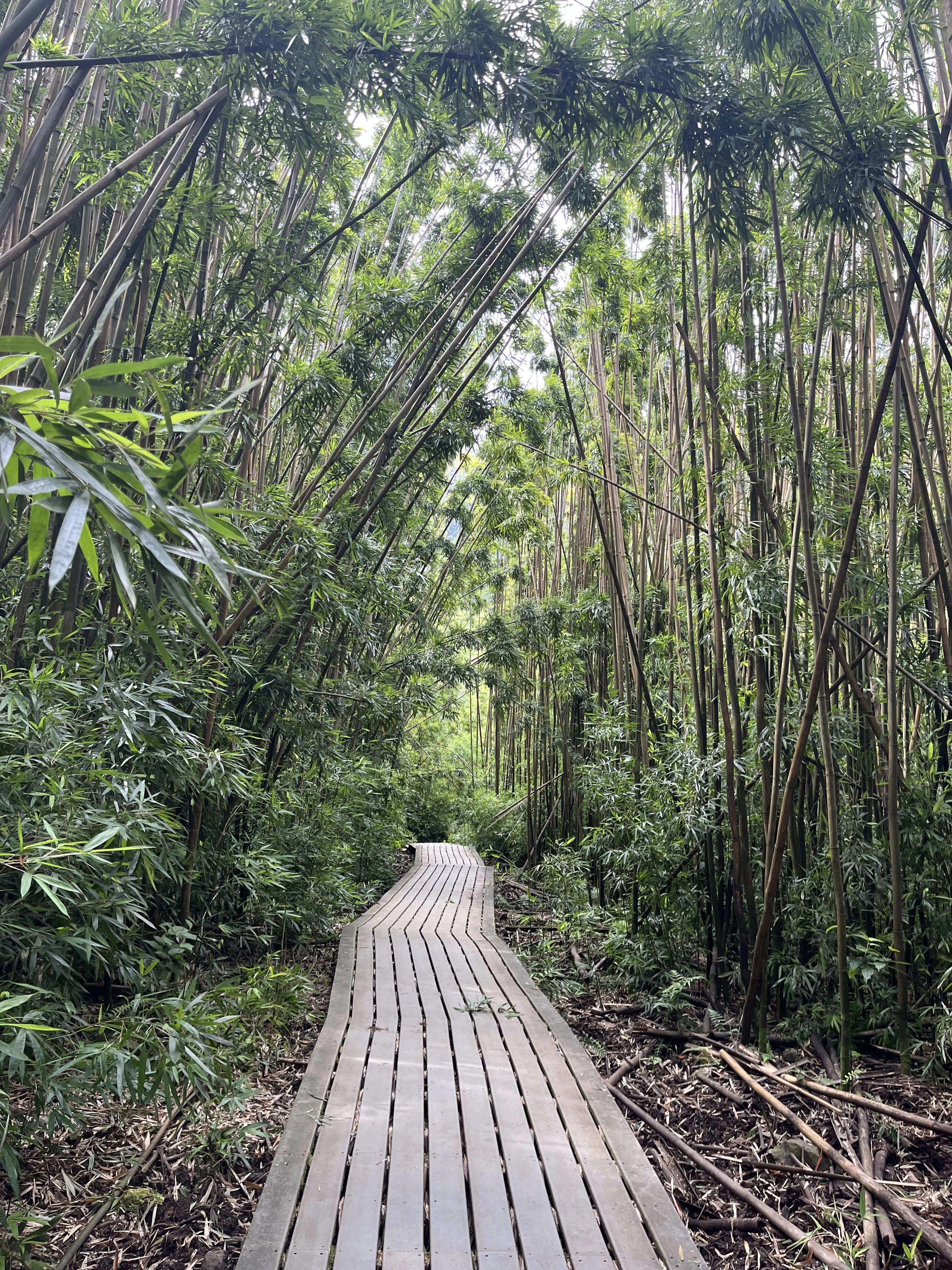 Curiosity: The Antidote to Fear