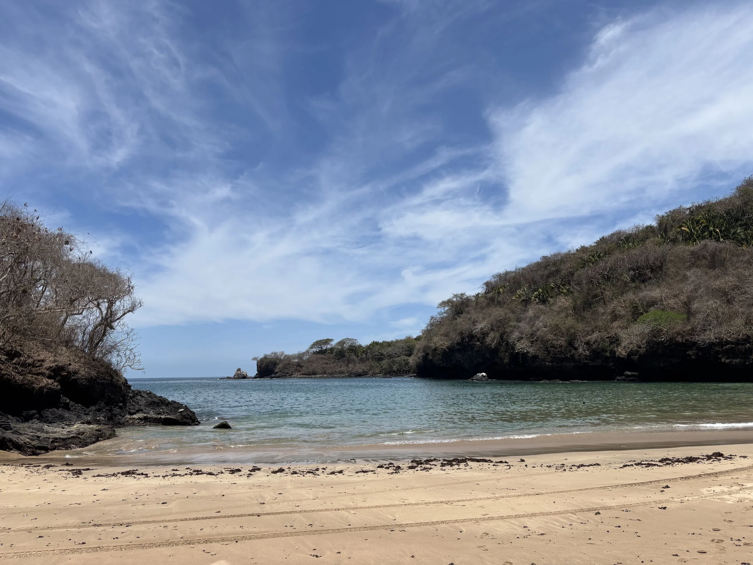 New Course - Your Energy Body!