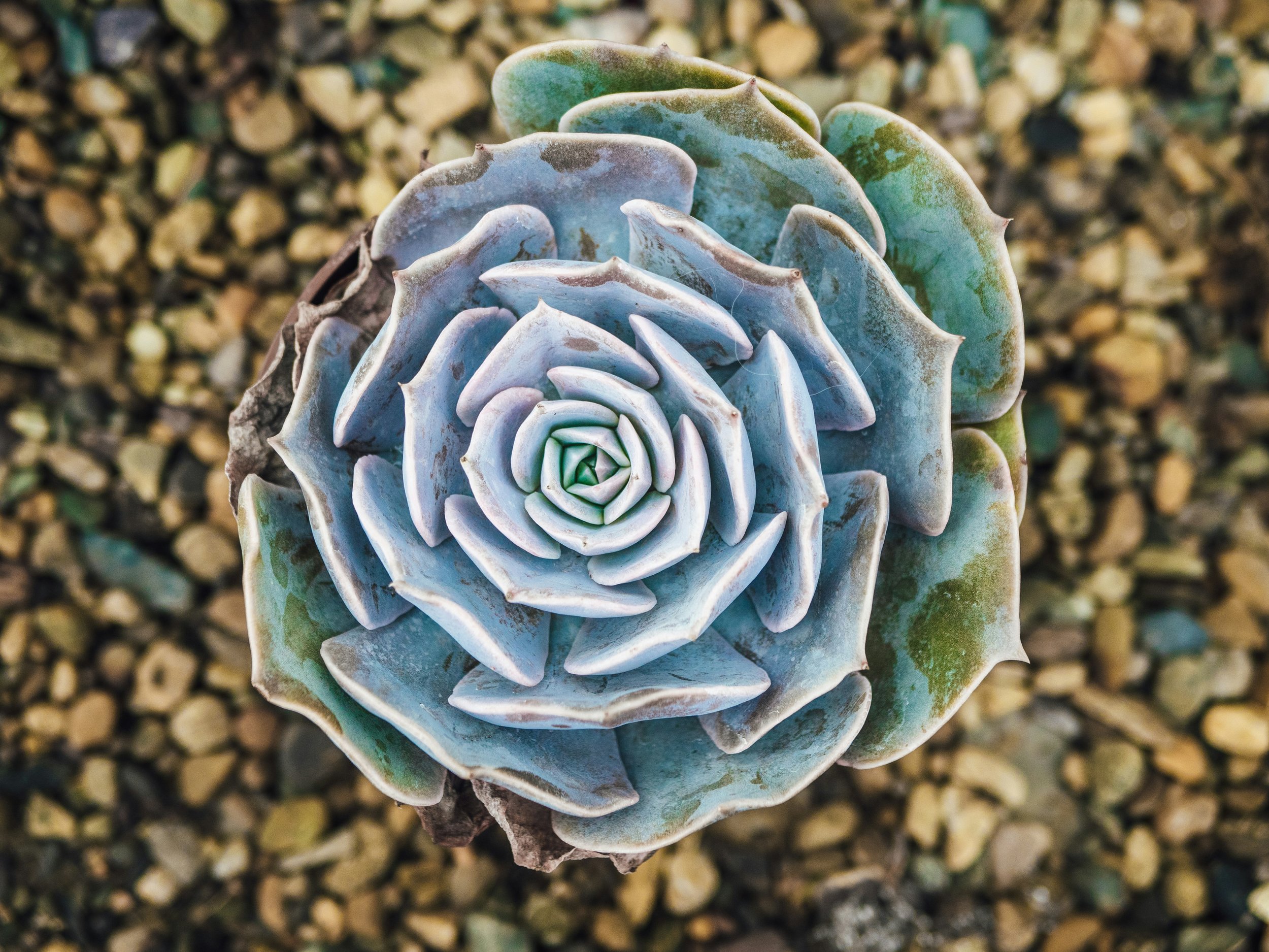 How to choose the right practice for the state of your nervous system