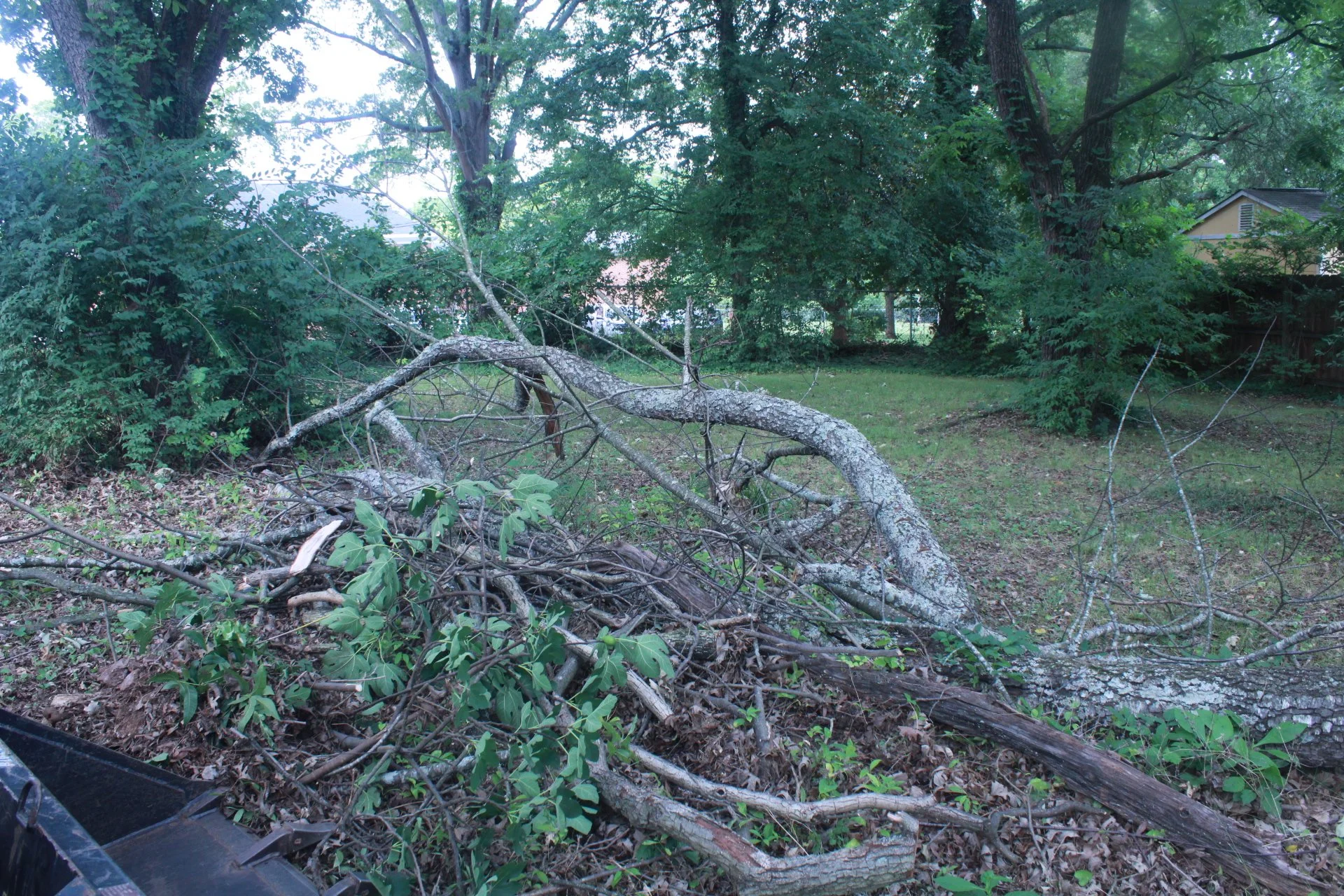 IMG_7225.JPG