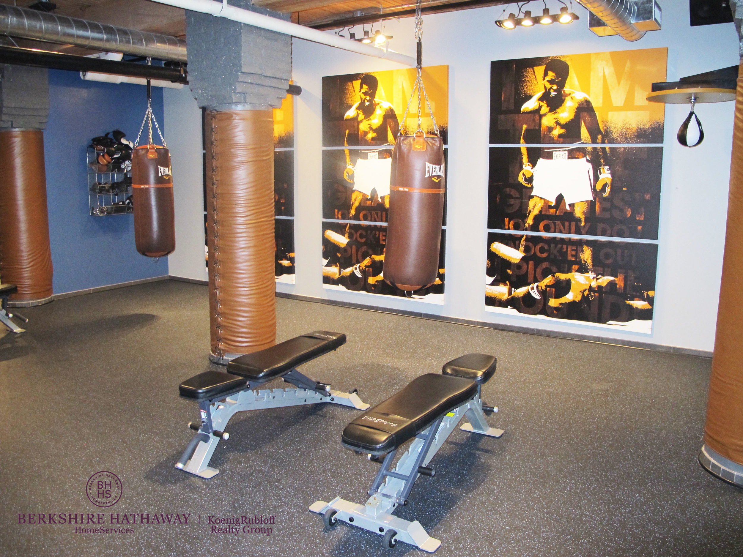 zGym.jpg