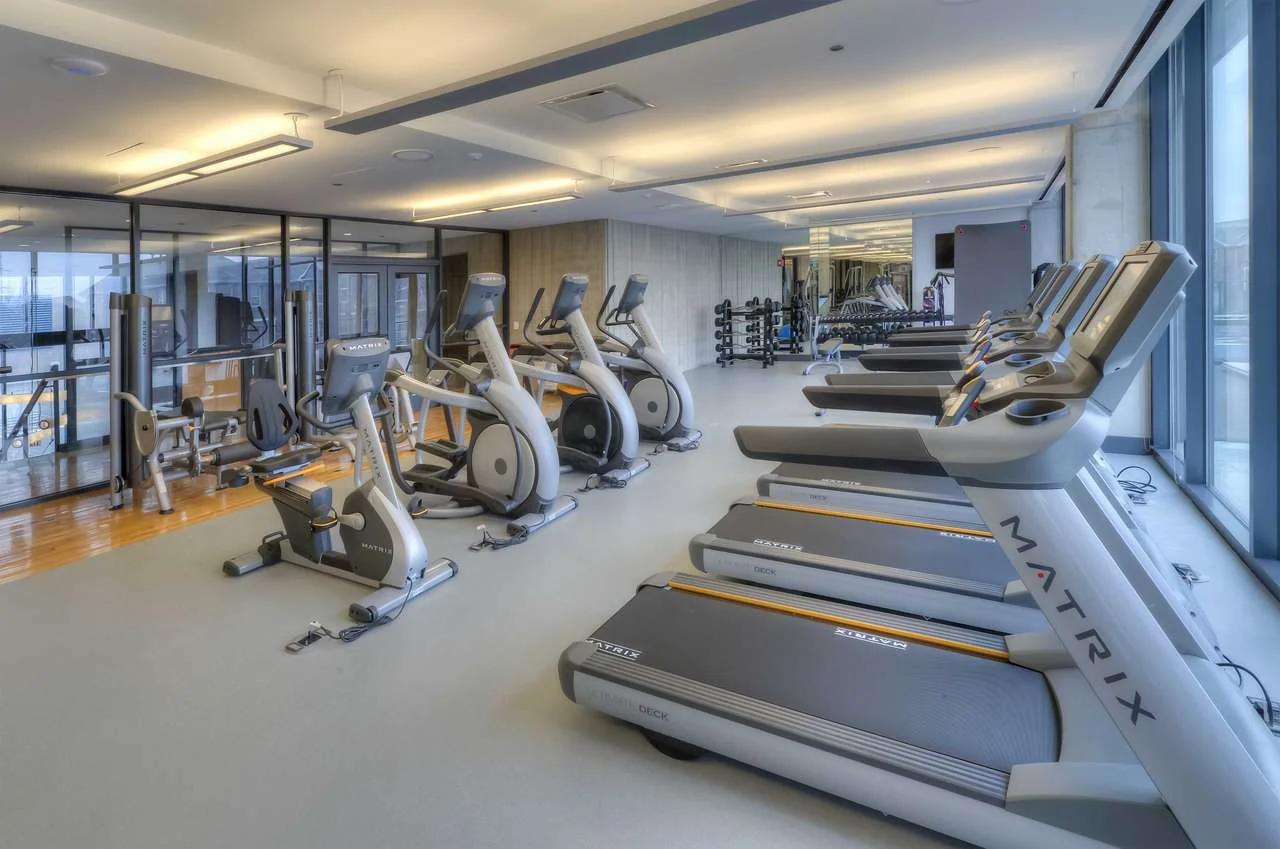 zgym.jpg