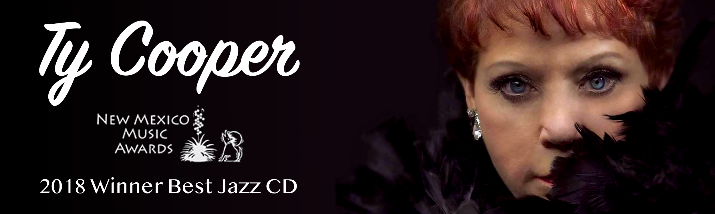 Ty Cooper Artist Page Banner.png