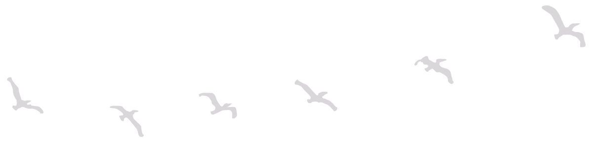 Screen Shot 2017-09-11 at 10.13.24 PM.png