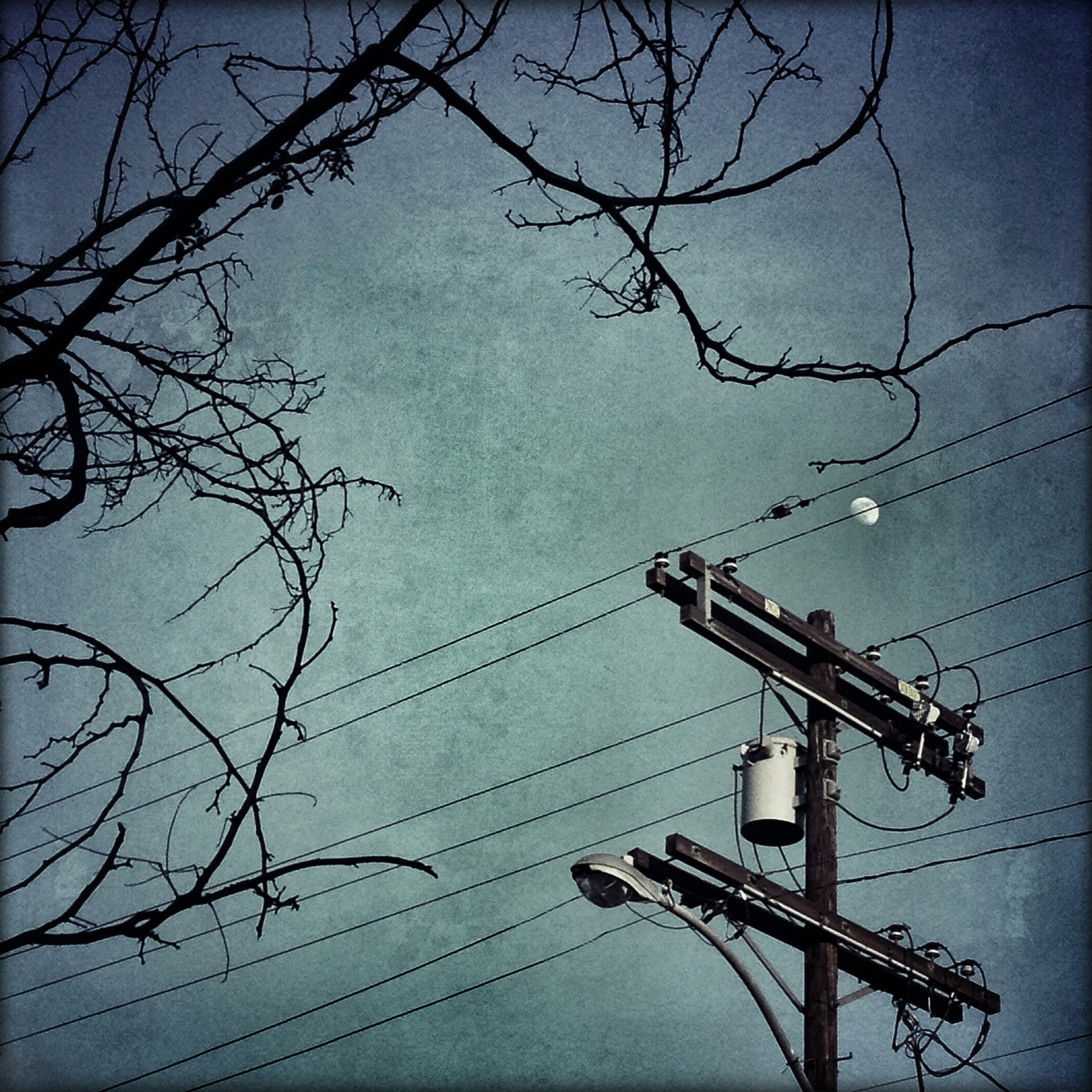 4 Moon On the Wire.jpg