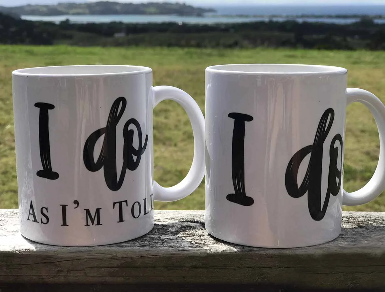 Cups outside smaller.jpg