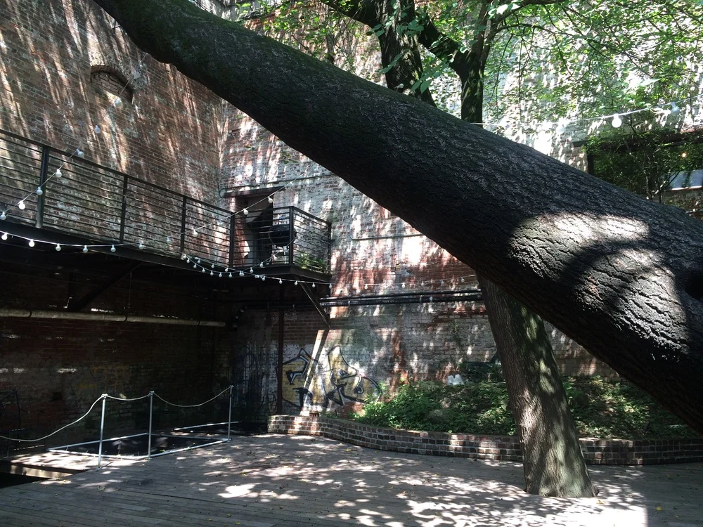 0+Tree+Room.jpeg