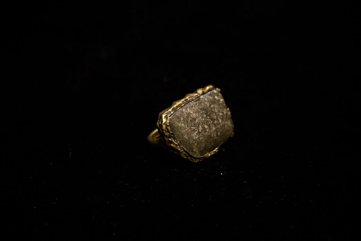 dinosaur bone fossil ring