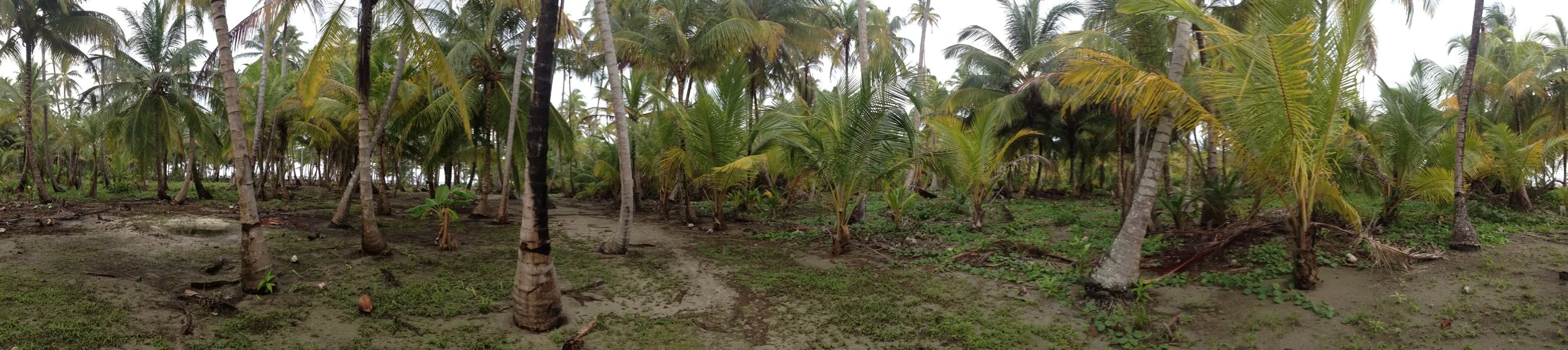 10.5.14 islas san blas, panama