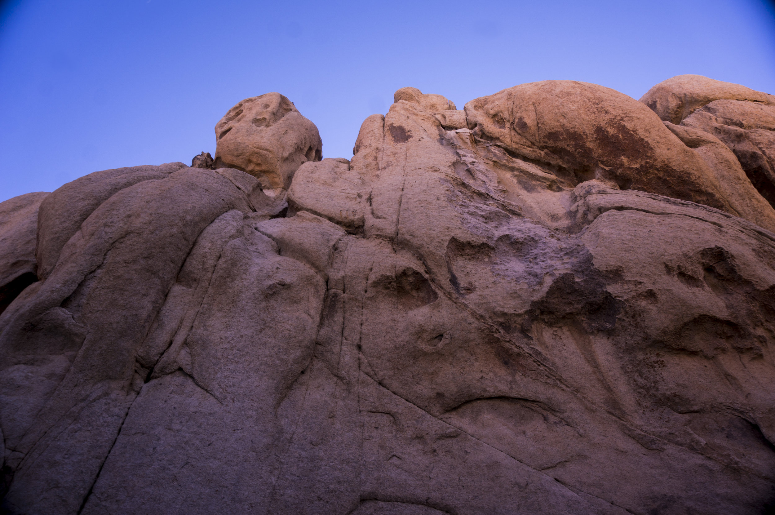 12.13.16 joshua tree, california