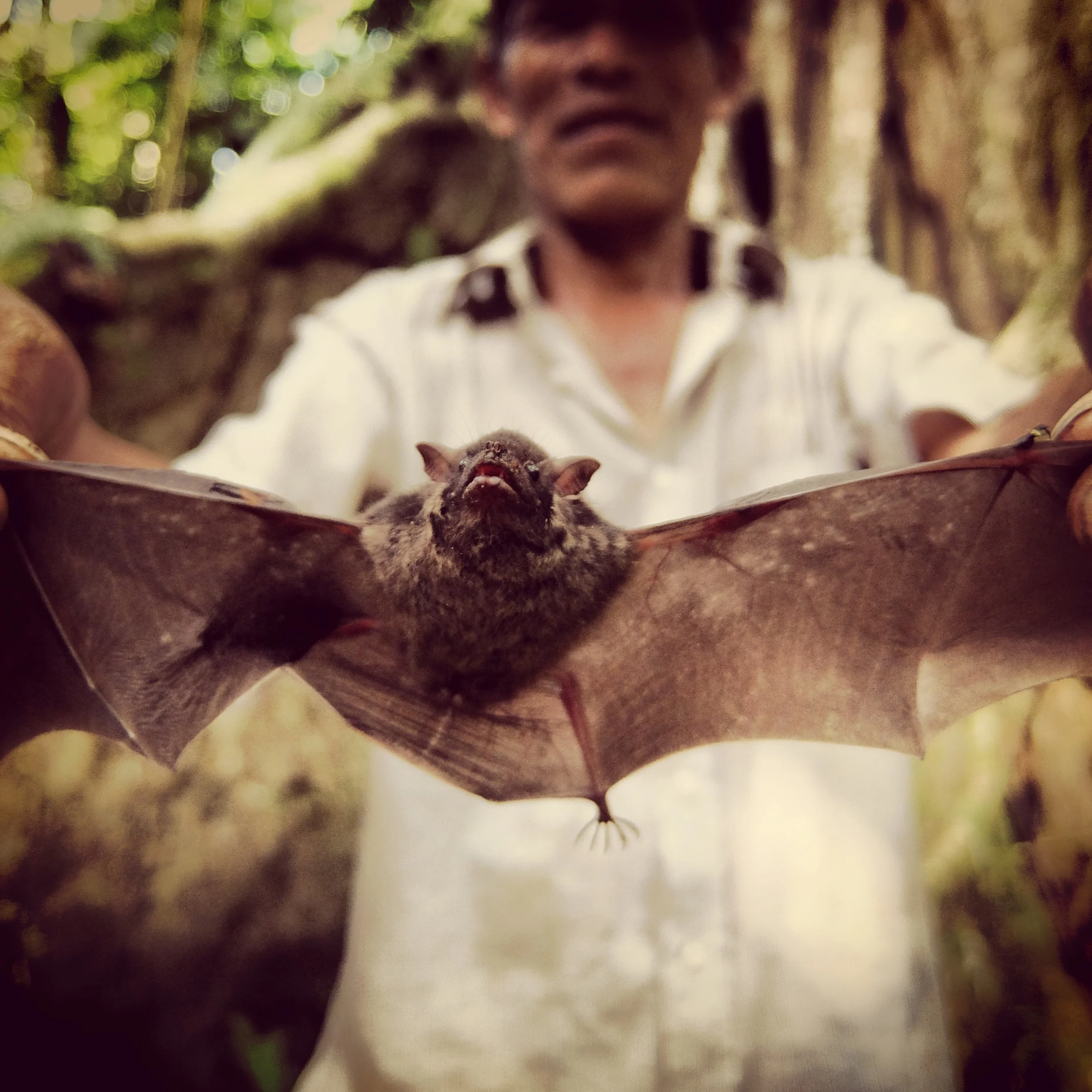 6.15.14 amazonia, peru