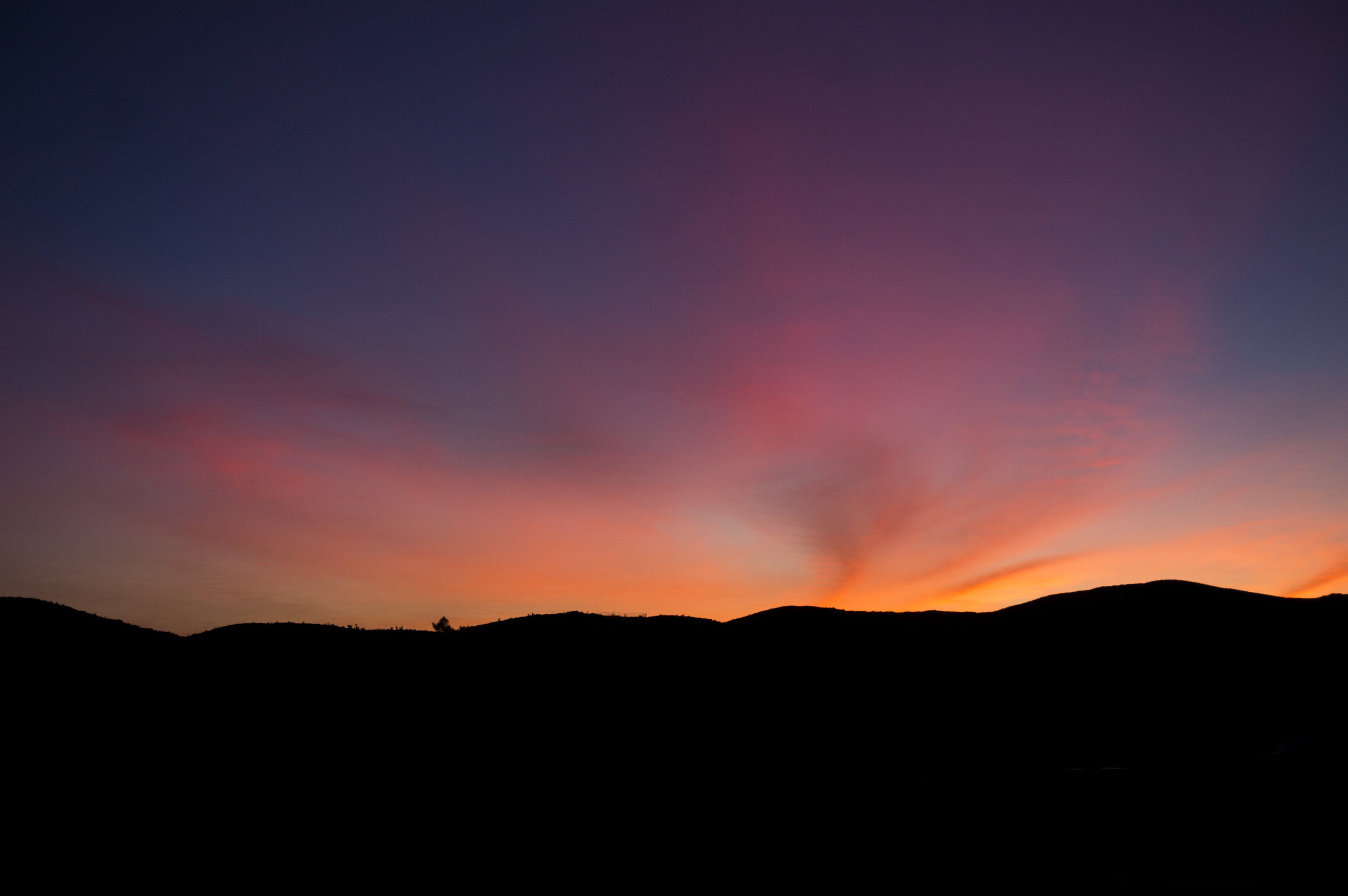 2.14.16 joshua tree, california