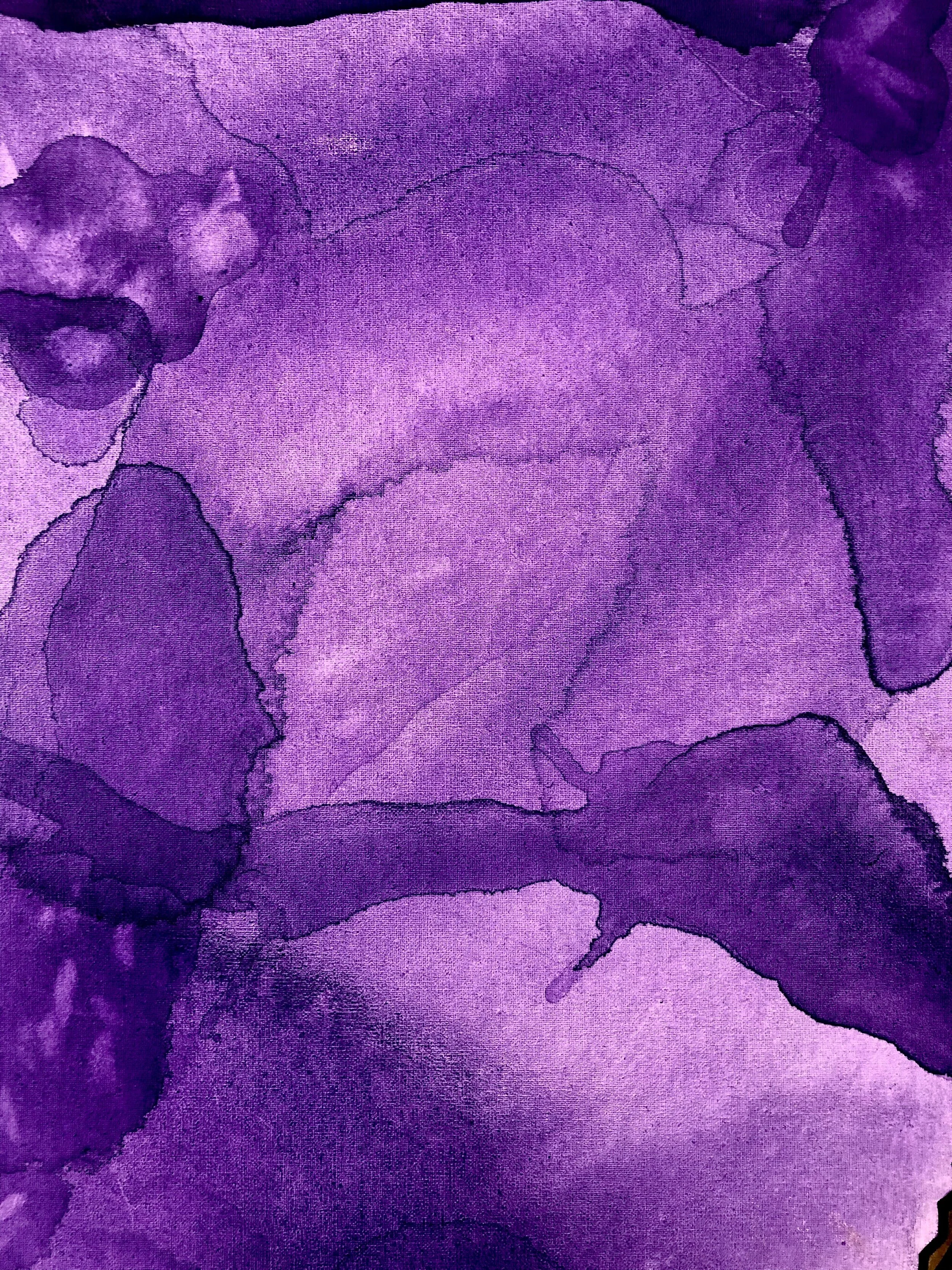 giraffe by day, giraffe by night