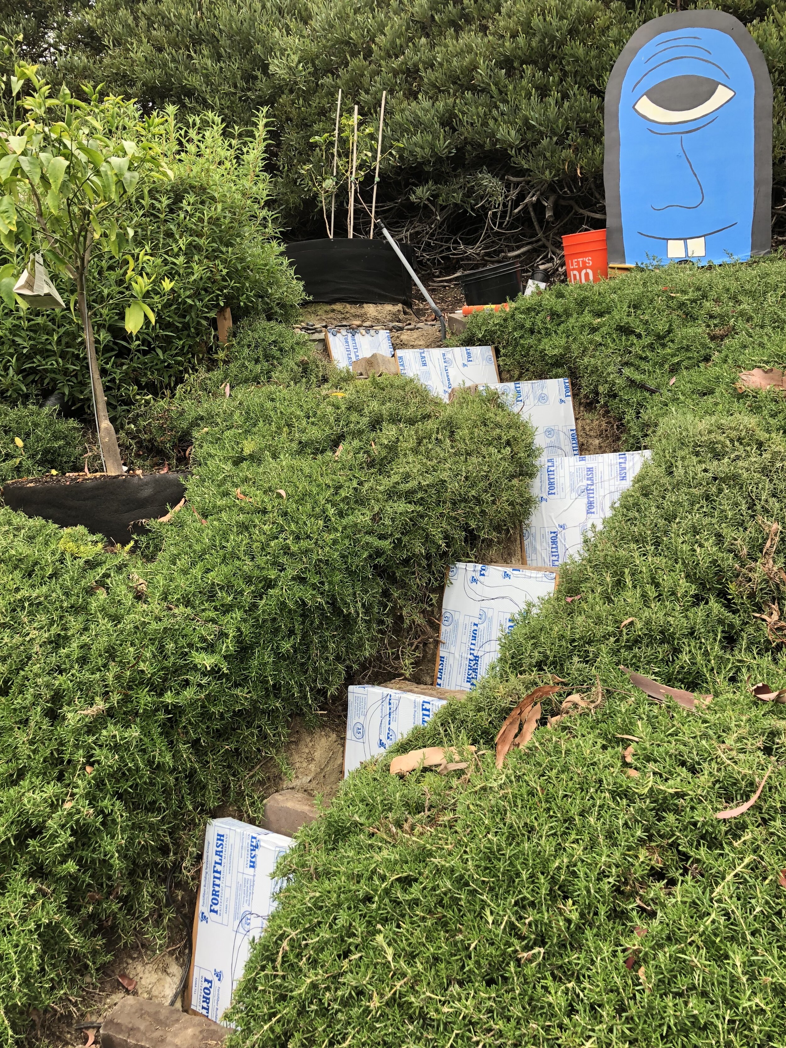 stairs progress 1.JPG