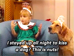 giphy (1).gif