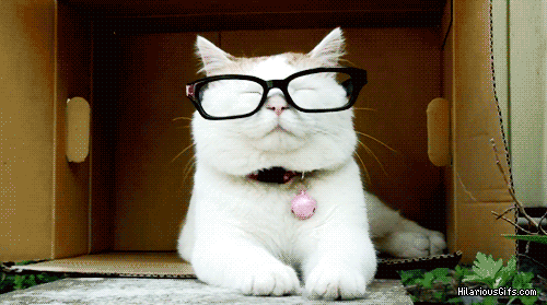 15450152.gif