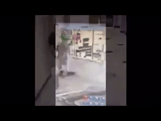 Fall.gif