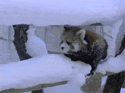 download.gif