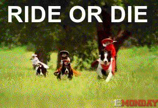 giphy (4).gif