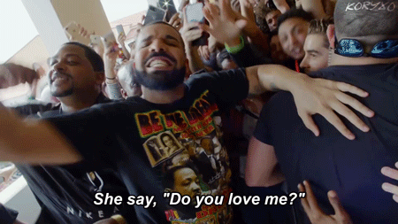 Drake(1).gif