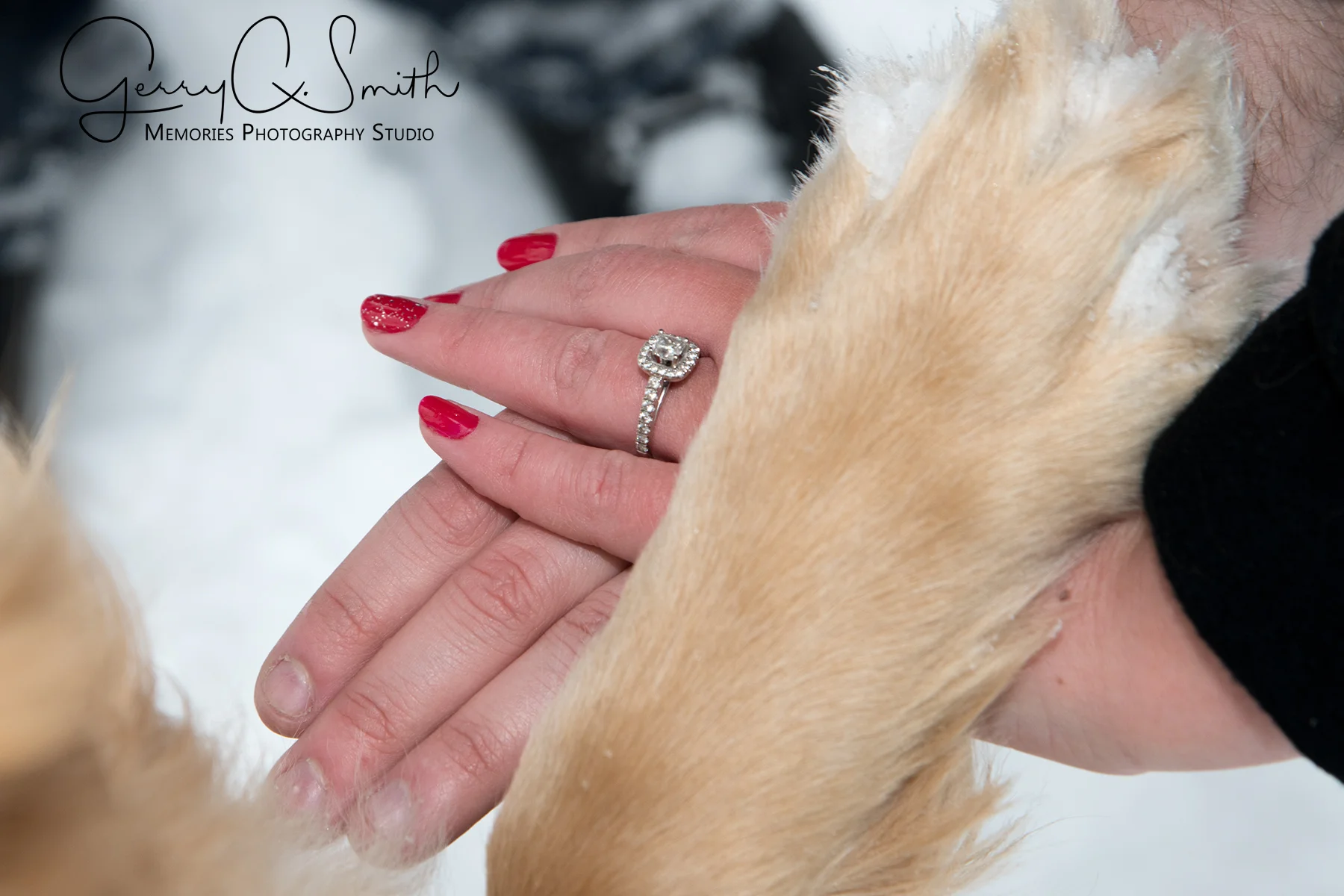 https://www.memoriesphotography.ca