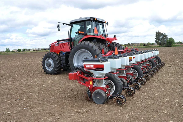 White Planter_Merced_April 2019_0553.jpg