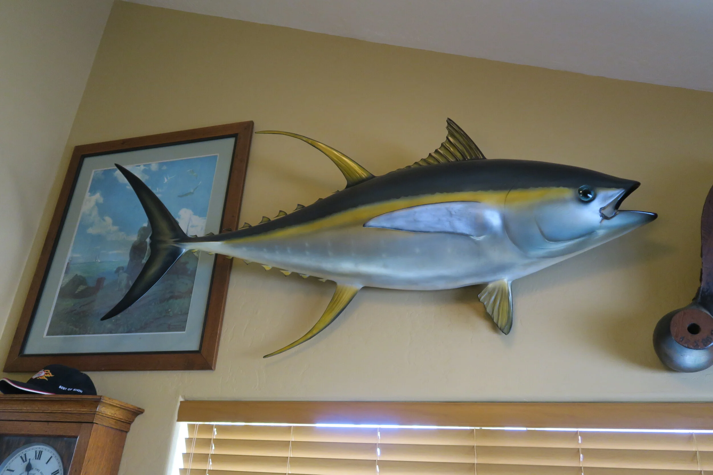 Yellowfin Tuna Taxidermy Mount, Extra Large 72"