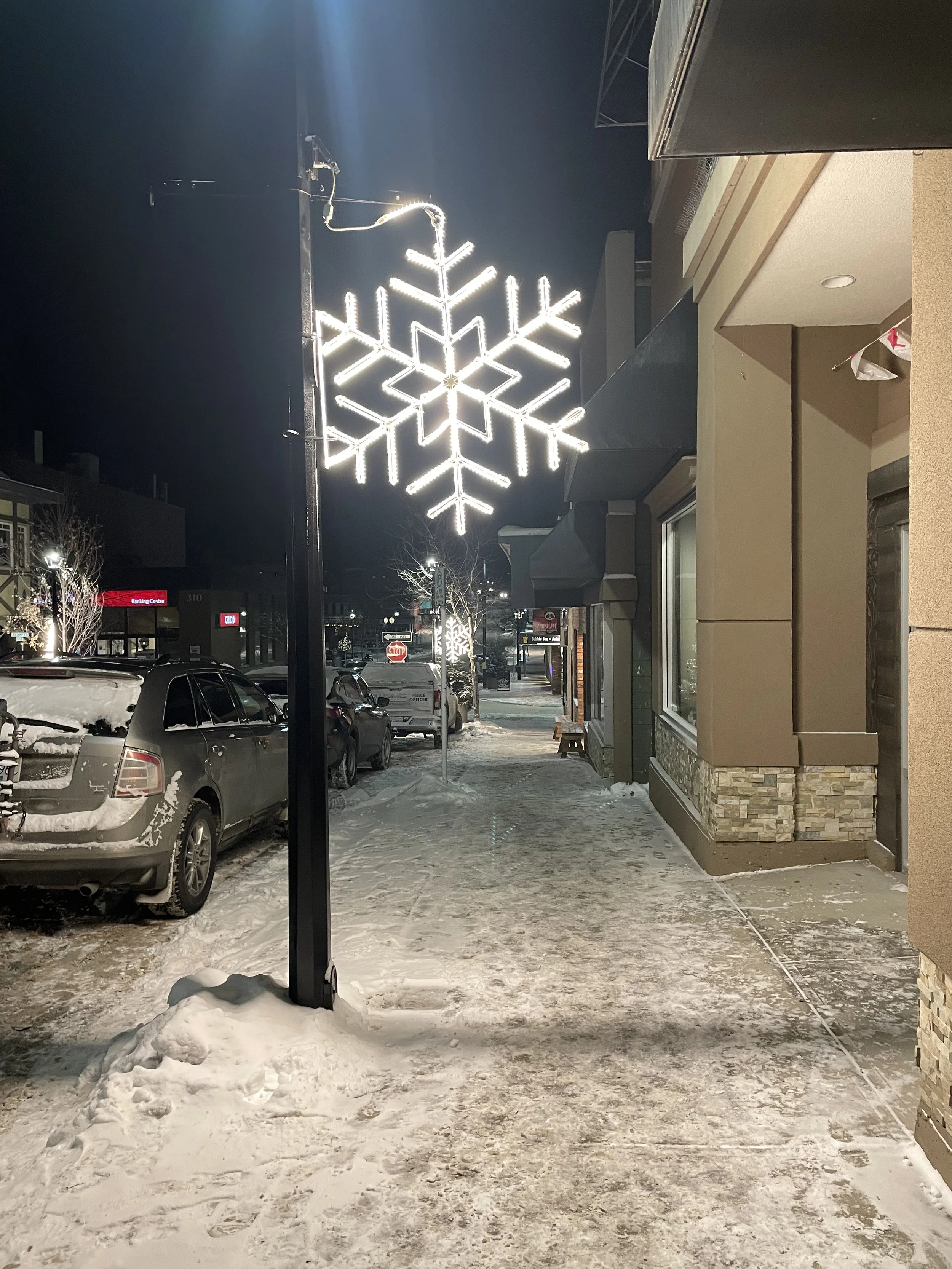 Snowflake lit.jpeg