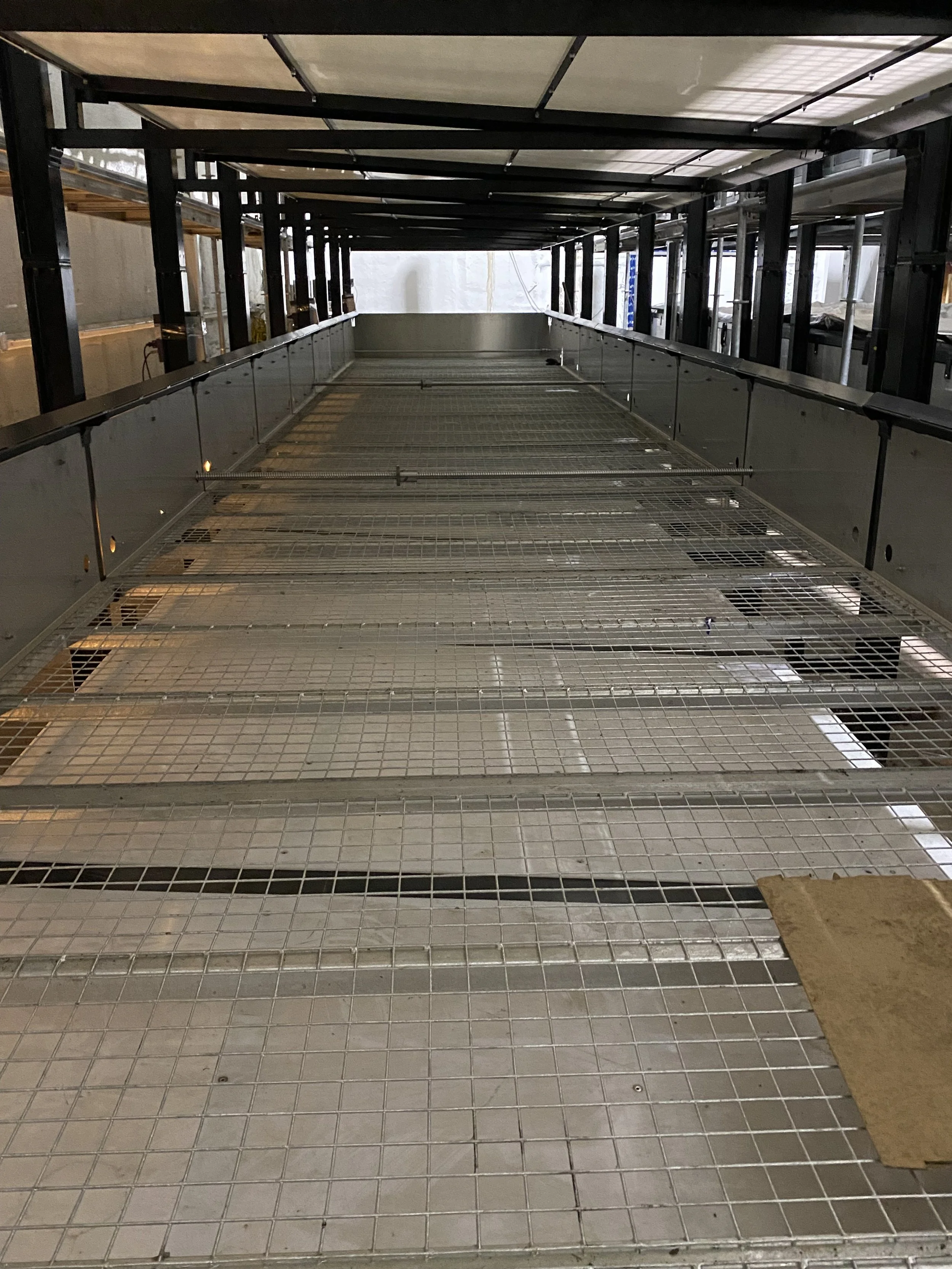 Wormbed inside one level.jpeg