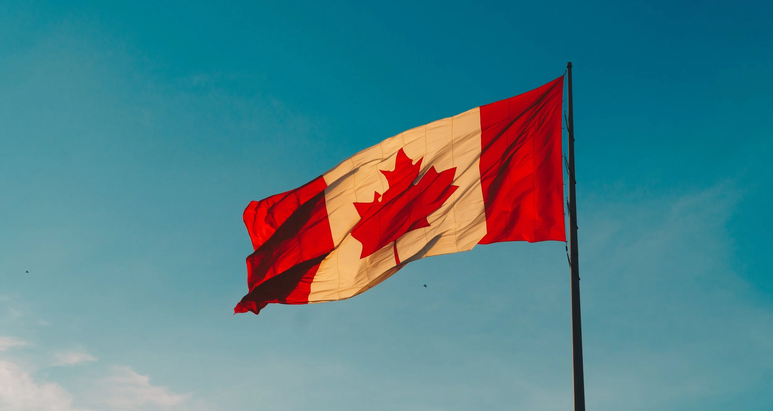 Highlights From the New Federal Budget - Translated Into a Language You Can Understand