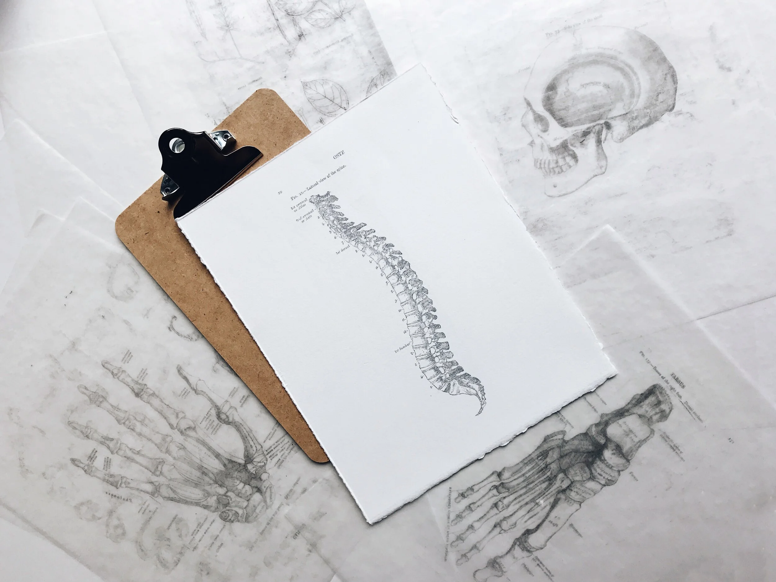 New GST/HST changes for osteopaths