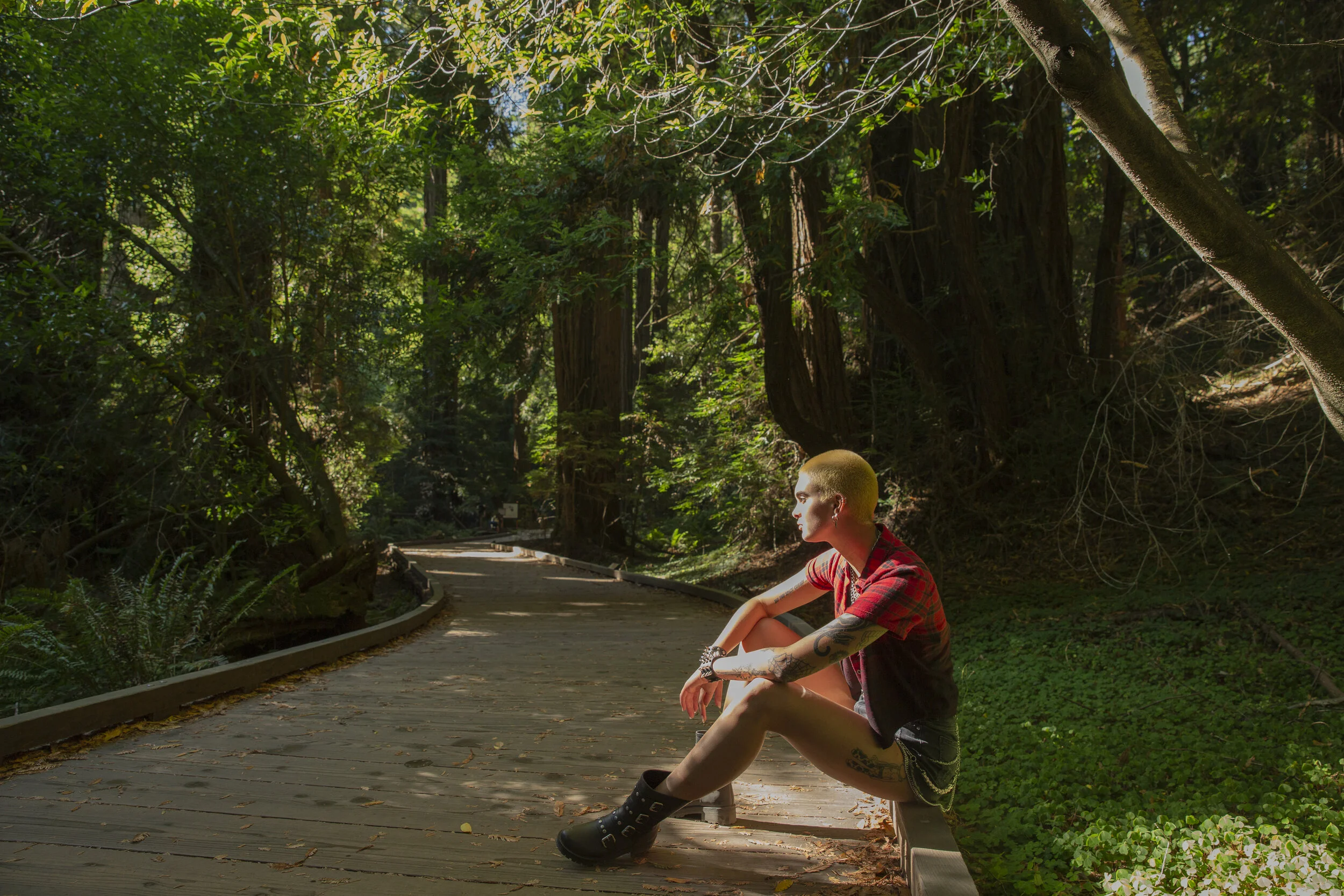 2019-09_Chloe-Aftel_redwoods-test_01.jpg