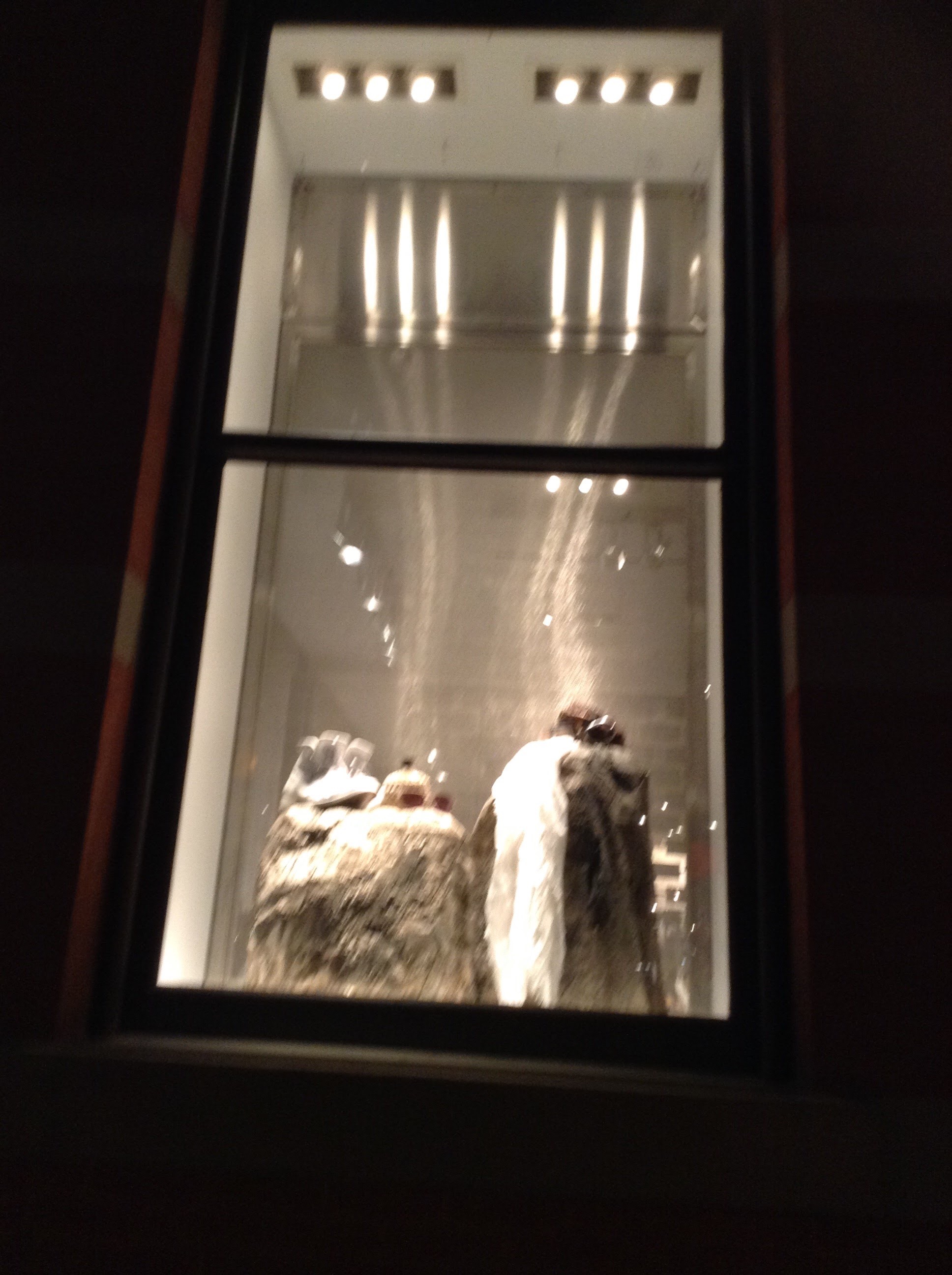 IMG_0601.jpeg