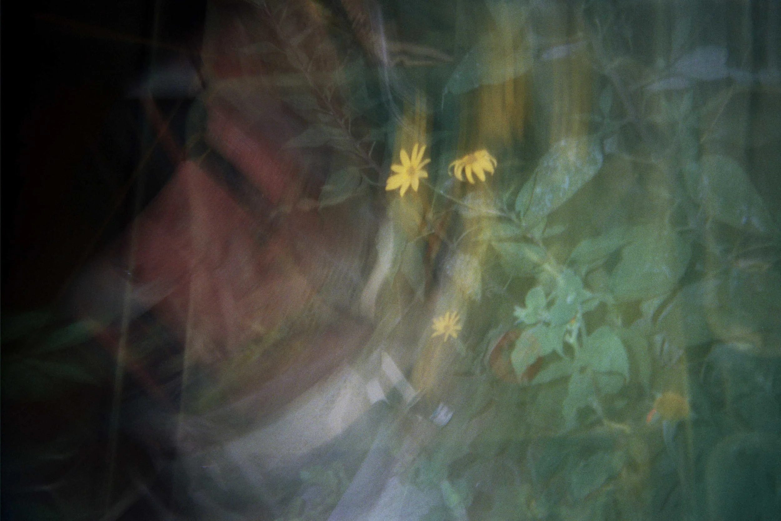 Blurred image of green leaves and small yellow flowers.